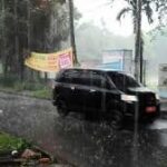 Hujan Angin di Bogor, Sejumlah Pohon Tumbang hingga Tutup Jalan