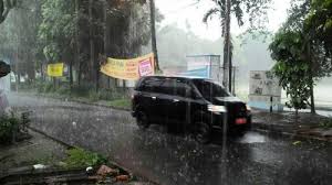 Hujan Angin di Bogor, Sejumlah Pohon Tumbang hingga Tutup Jalan