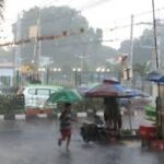Hujan Angin di Bogor, Sejumlah Pohon Tumbang hingga Tutup Jalan