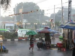 Hujan Angin di Bogor, Sejumlah Pohon Tumbang hingga Tutup Jalan